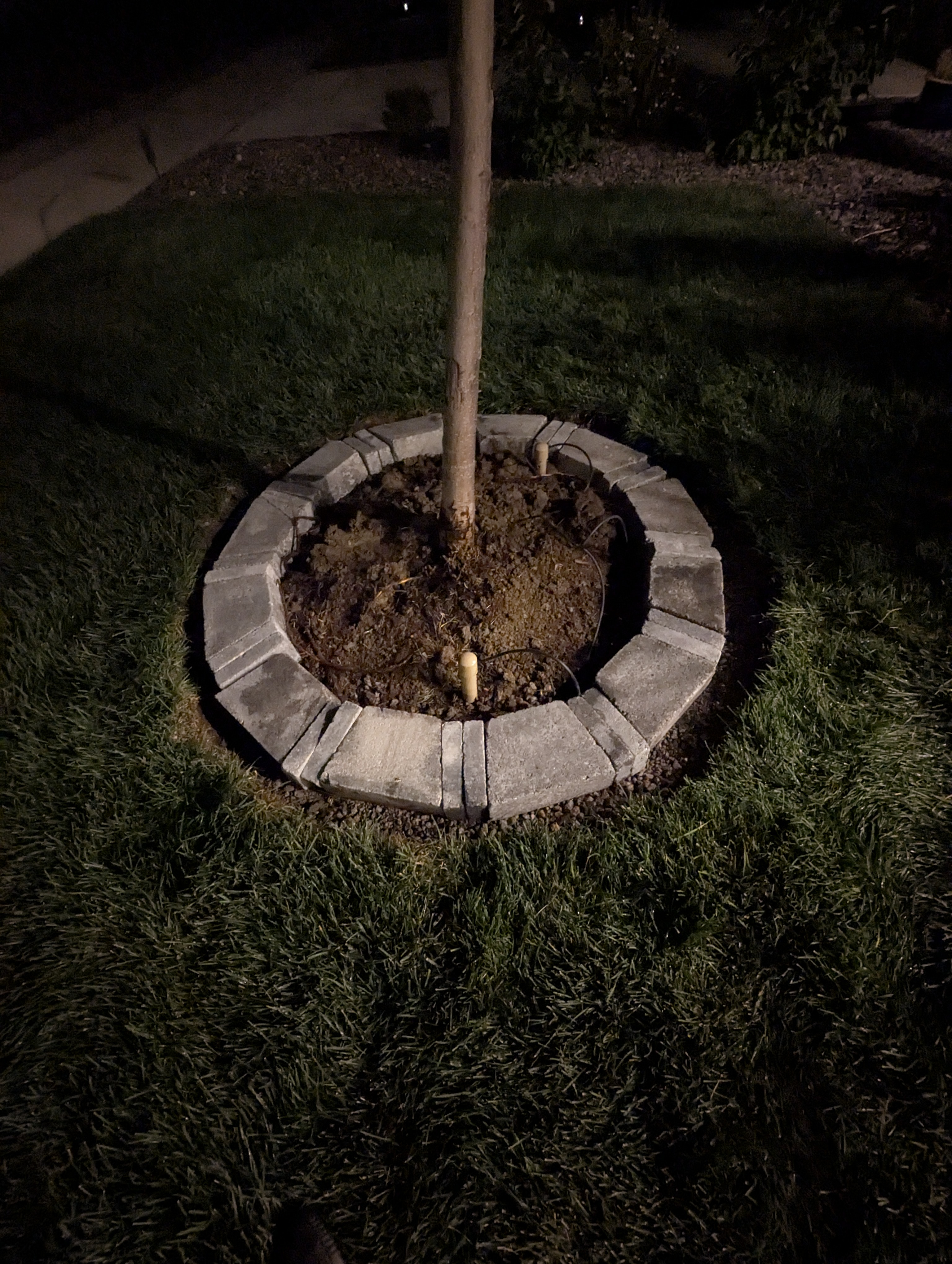 Tree Ring, Home Improvement, Morrison, Colorado